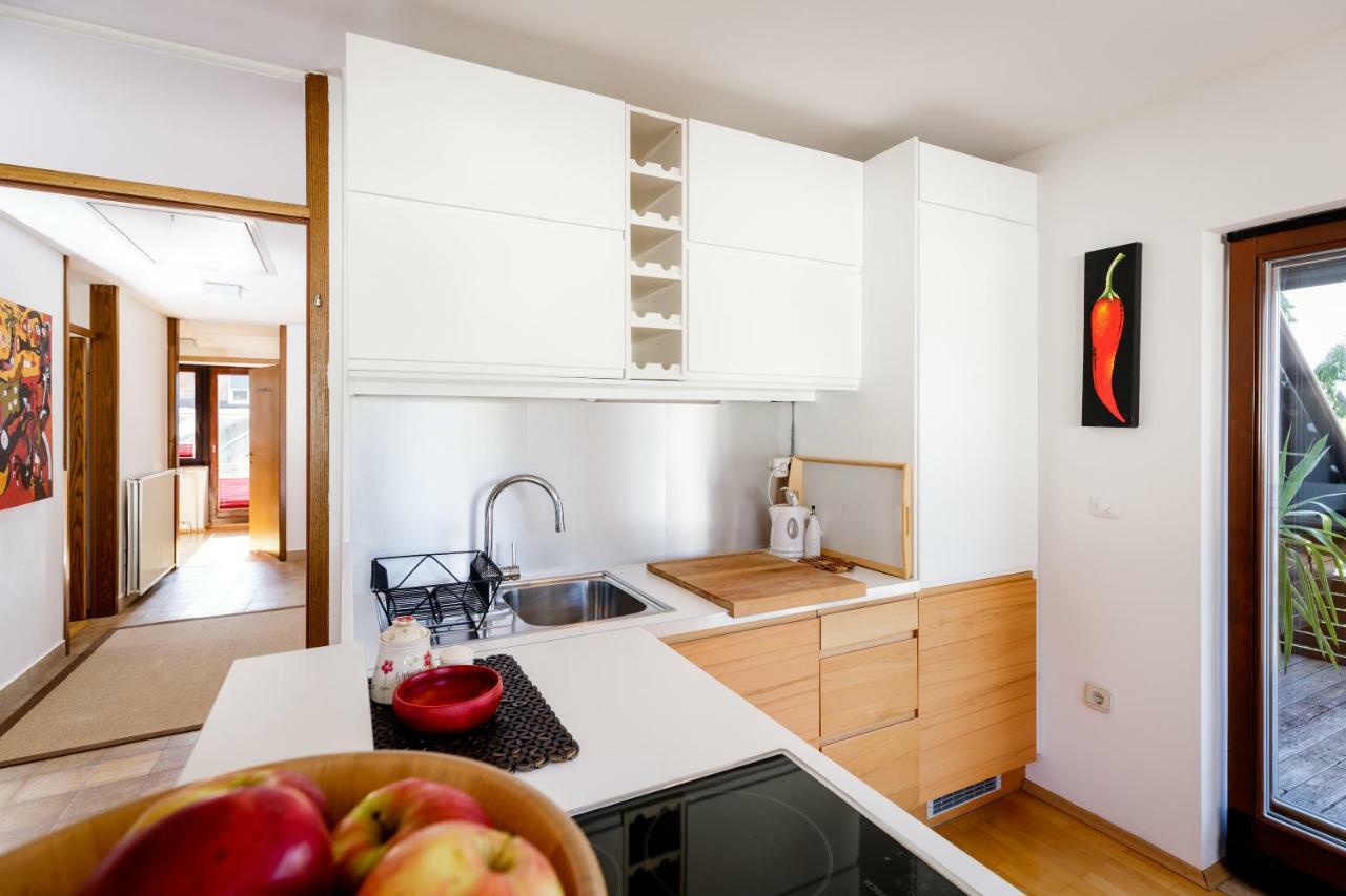 Cosy & Spacious Apt. Benc Zirovnica Exterior photo